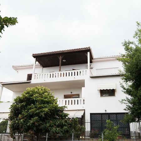 Bivas Nikolaos Vila PalaiónTsiflíkion Exterior foto